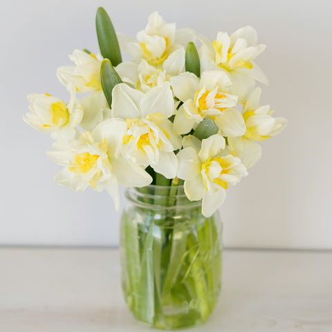 yellow and white daffodils in mason jar