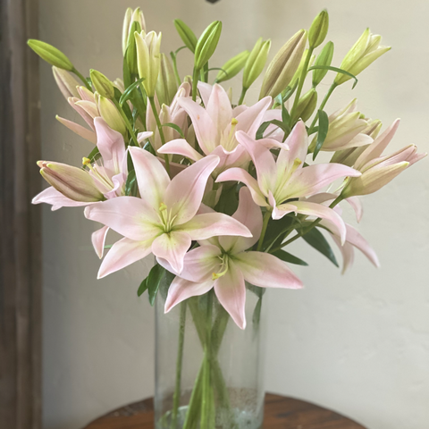 light pink oriental lilies in clear vase on wooden table