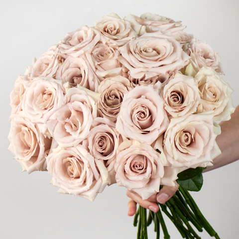 peachy tan colored roses held in hand