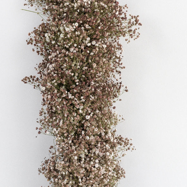 BABY'S BREATH GARLAND – FIELDWORK