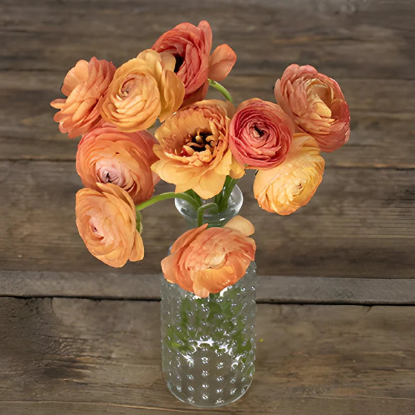 Orange ranunculus flowers in a budvase.