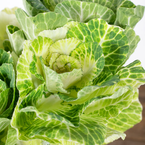 White and green kale