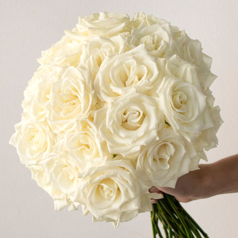 white rose in round bouquet being held in hand