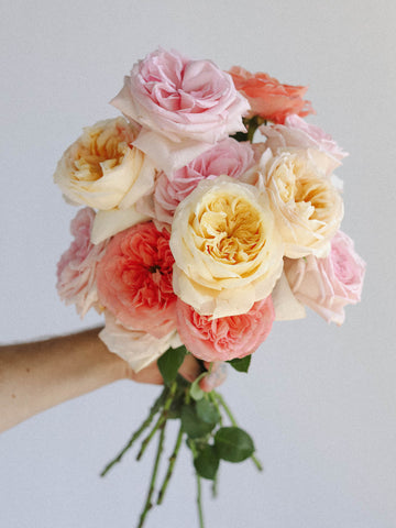 ivory, pink, and light pink garden roses in hand