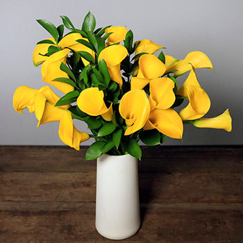 Yellow bulk calla lilies in a white vase on a wooden table