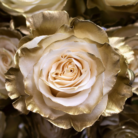 white rose painted gold up close in a bunch
