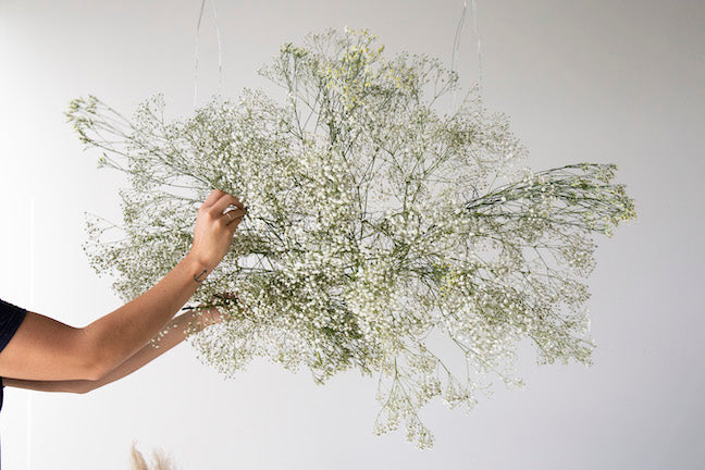 Hanging floral installation with Baby's Breath.