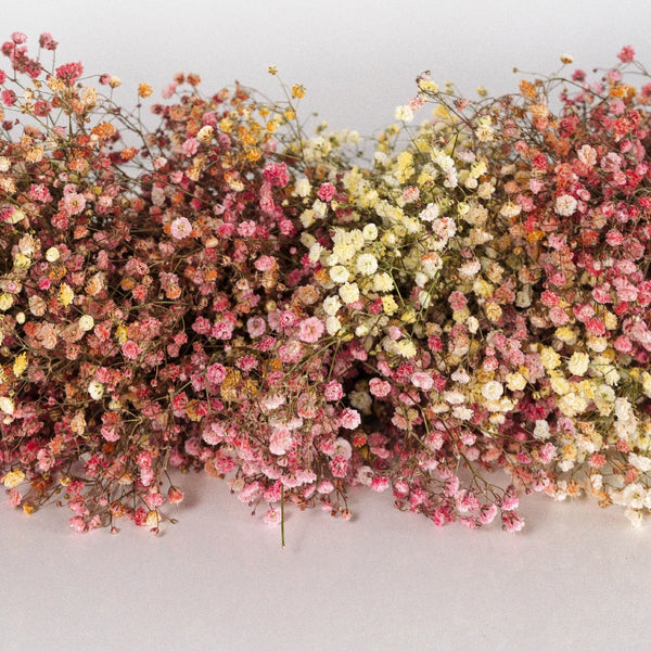 Buy Wholesale Rainbow Baby's Breath Garland in Bulk - FiftyFlowers