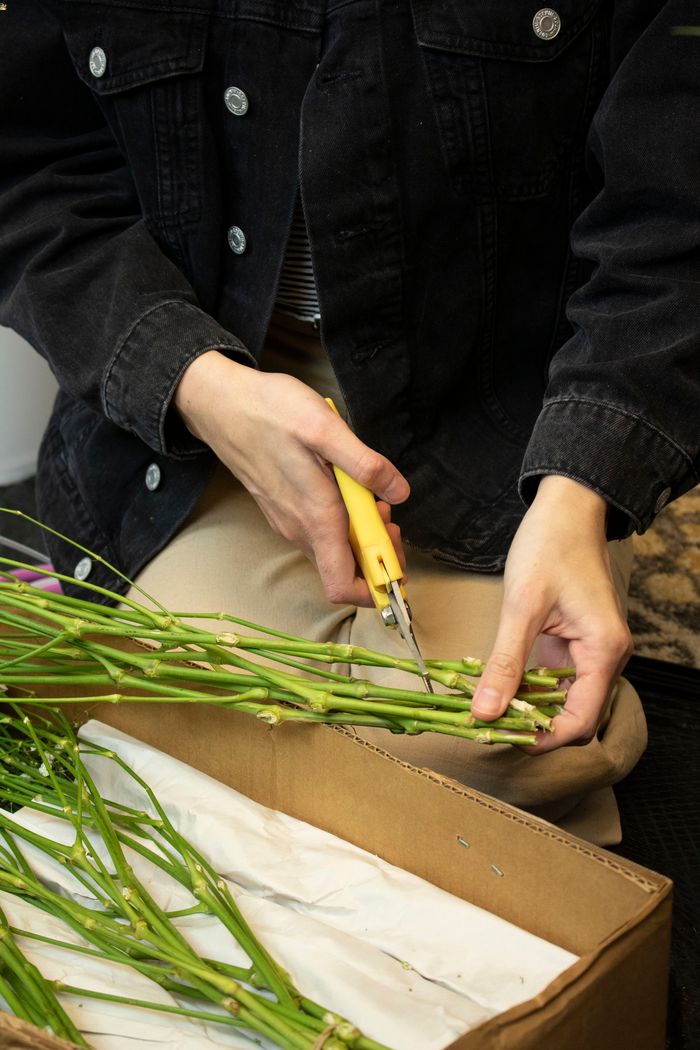 How to keep flowers fresh: Trim their stems regularly at an angle
