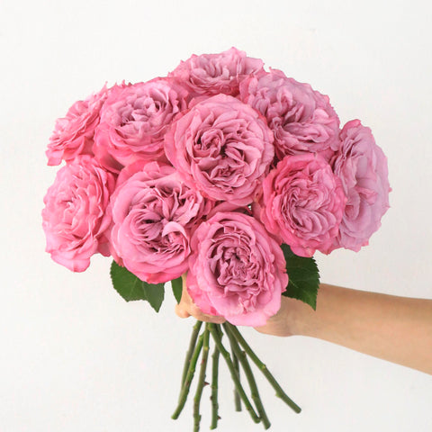 pink garden rose bouquet held in hand