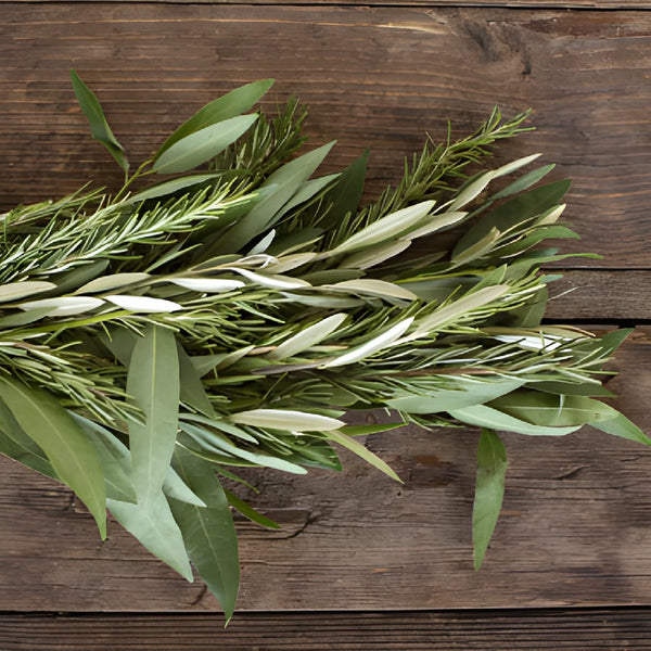 Olive, Rosemary and Bay Leaf  Garland