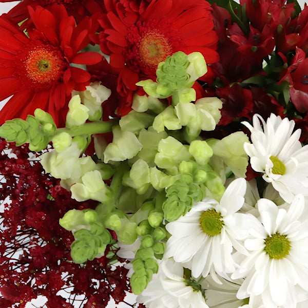 Monochromatic Red DIY Flower Kit