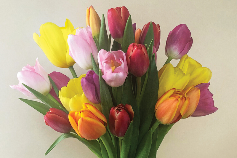 A bouquet of flowers for mother's day with yellow, pink, orange, and red tulips