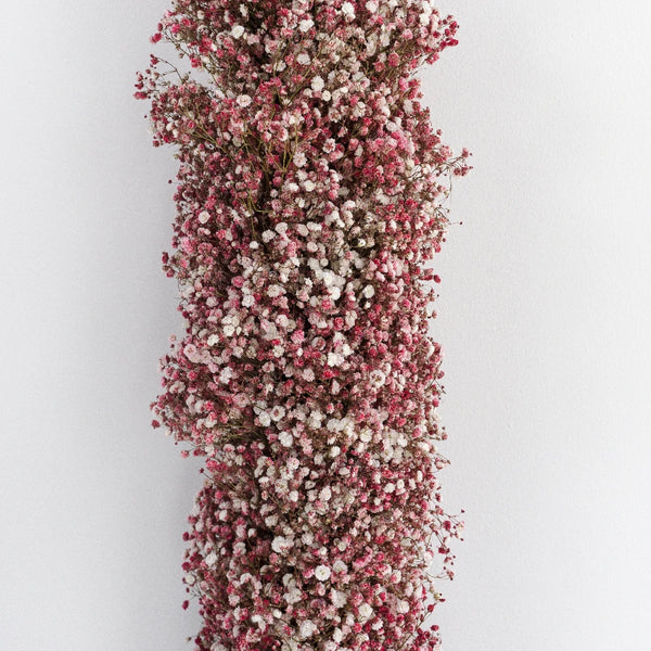 Buy Wholesale Rainbow Baby's Breath Garland in Bulk - FiftyFlowers