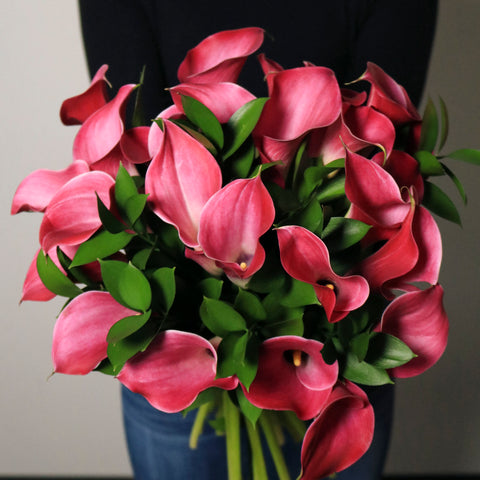 hot pink mini calla lilies held in hand up close