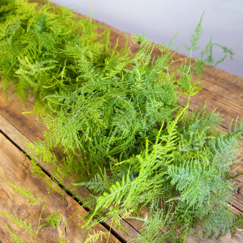 plumosa greenery garland on a wooden table