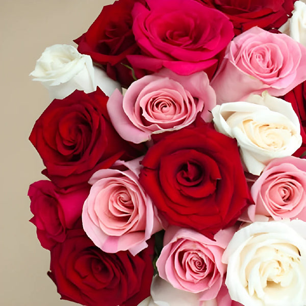 Buy Wholesale Red and Pink Rose Petals in Bulk - FiftyFlowers