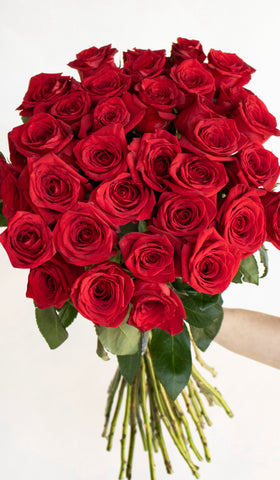 red rose bouquet in hand