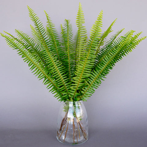 Tall standing sword ferns in a vase
