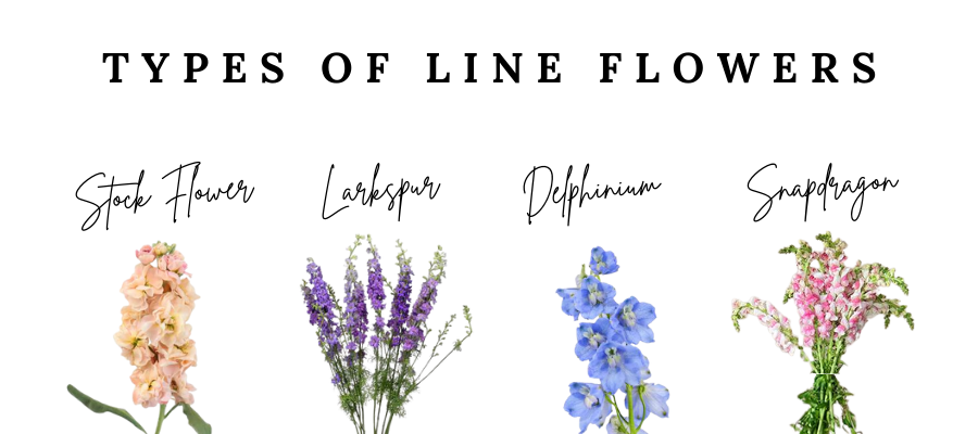 These types of flowers, known as line flowers, add height and structure