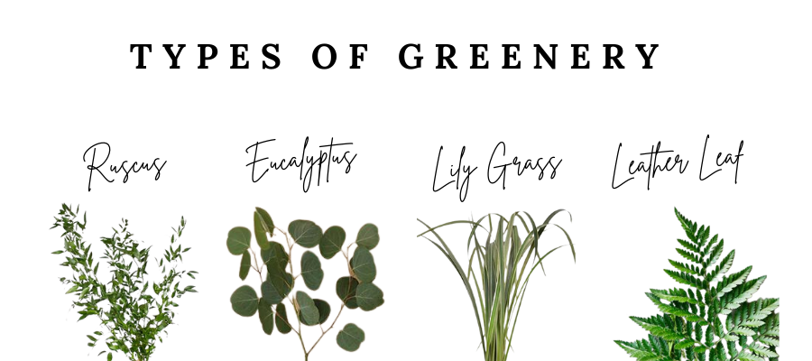 A graphic with pictures of eucalyptus, ruscus, and other greenery