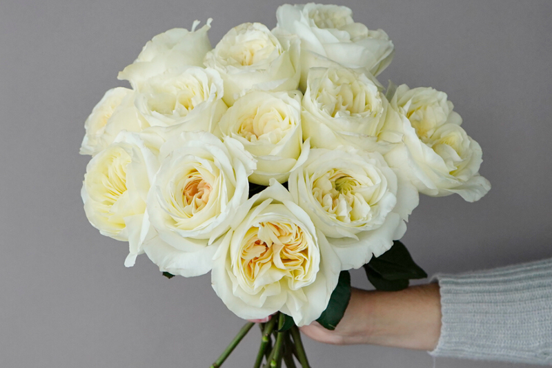 Bouquet of ivory white garden roses for mother's day