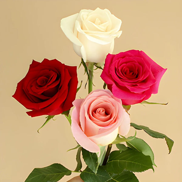 Buy Wholesale Wholesale Bulk Roses 75 stems Your Colors in Bulk - F