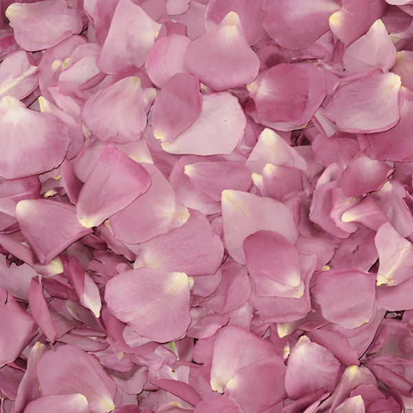 Pretty In Pink Freeze Dried Rose Petals (30 Cups) - Wholesale - Blooms By  The Box