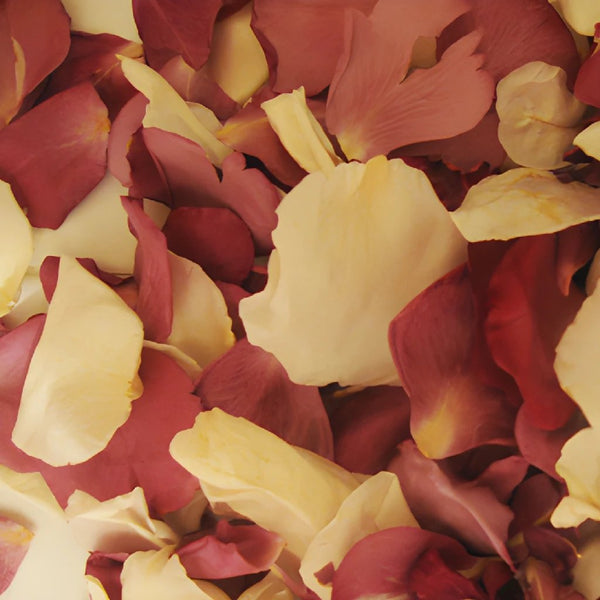 A Mix of Brights Dried Wedding Petals