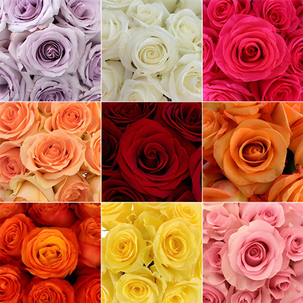 Yellow / Orange & Red FD Rose Petals (30 Cups) - Wholesale - Blooms By The  Box