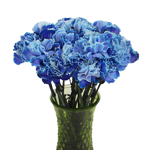 Wholesale Blue Enhanced Carnation Flowers ᐉ bulk Blue Enhanced ...