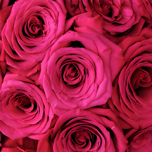 Dark Pink Roses with Pink Glitter - Bulk