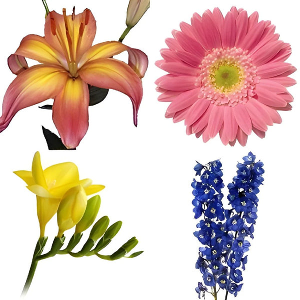 https://cdn.shopify.com/s/files/1/0516/8968/5154/products/Bulk_Spring_Flowers_Mixed_Box_350_0de197d6_600x600.jpg?v=1683165850