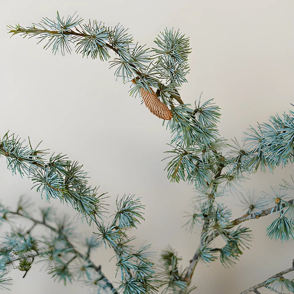 White Pine Winter Greenery