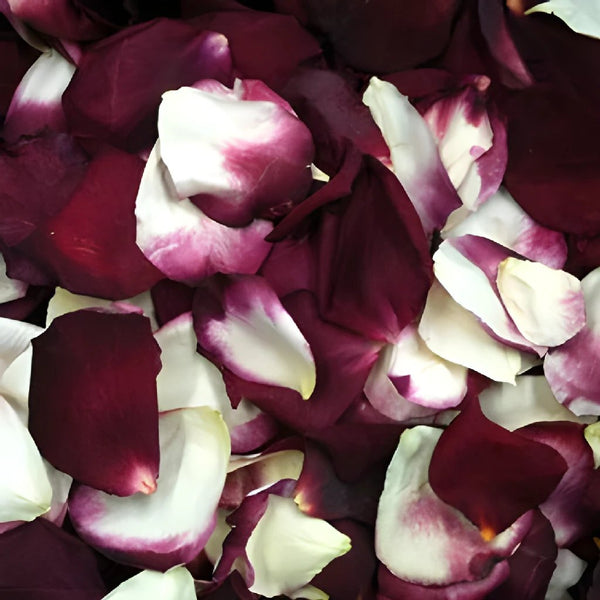 Fresh Rose Petals Assorted in Bulk buy bulk flowers- JR Roses