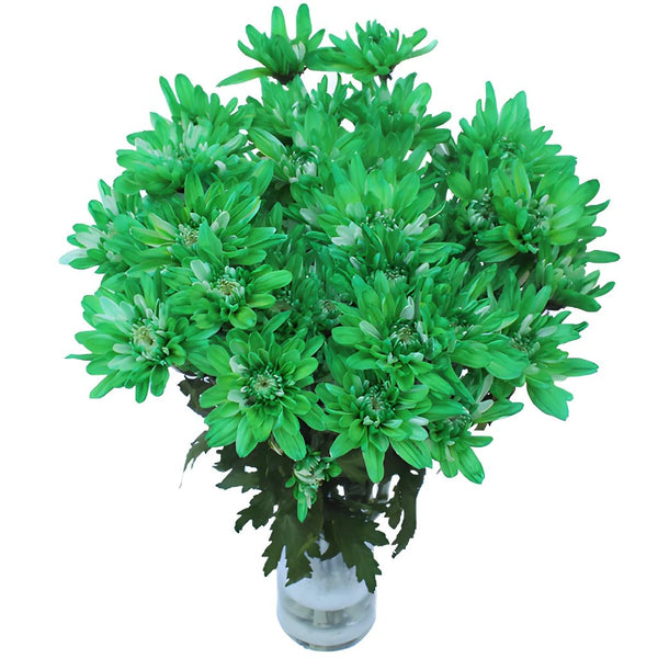 Jade Filler Greenery