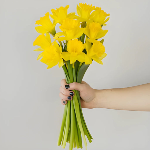 Fresh Cut Paper Flowers - Daffodils – Rala