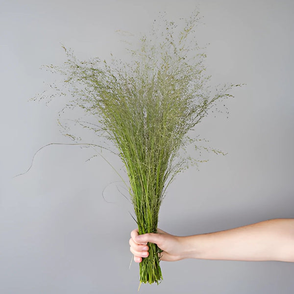 Faux Pampas Grass - 6 Stems - 38 Long - Sand