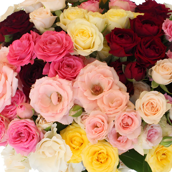 Buy Wholesale Wholesale Bulk Roses 75 stems Your Colors in Bulk - F