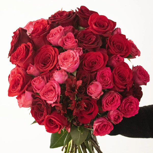 Buy Wholesale Sexy Red Bulk Red Roses in Bulk - FiftyFlowers