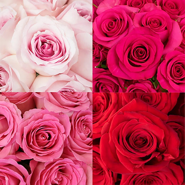 Buy Wholesale Wholesale Bulk Roses 75 stems Your Colors in Bulk - F