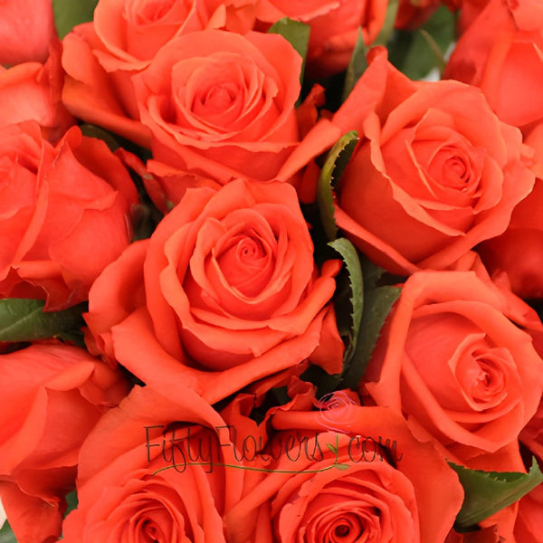 Buy Wholesale Orange Crush Rose in Bulk - FiftyFlowers