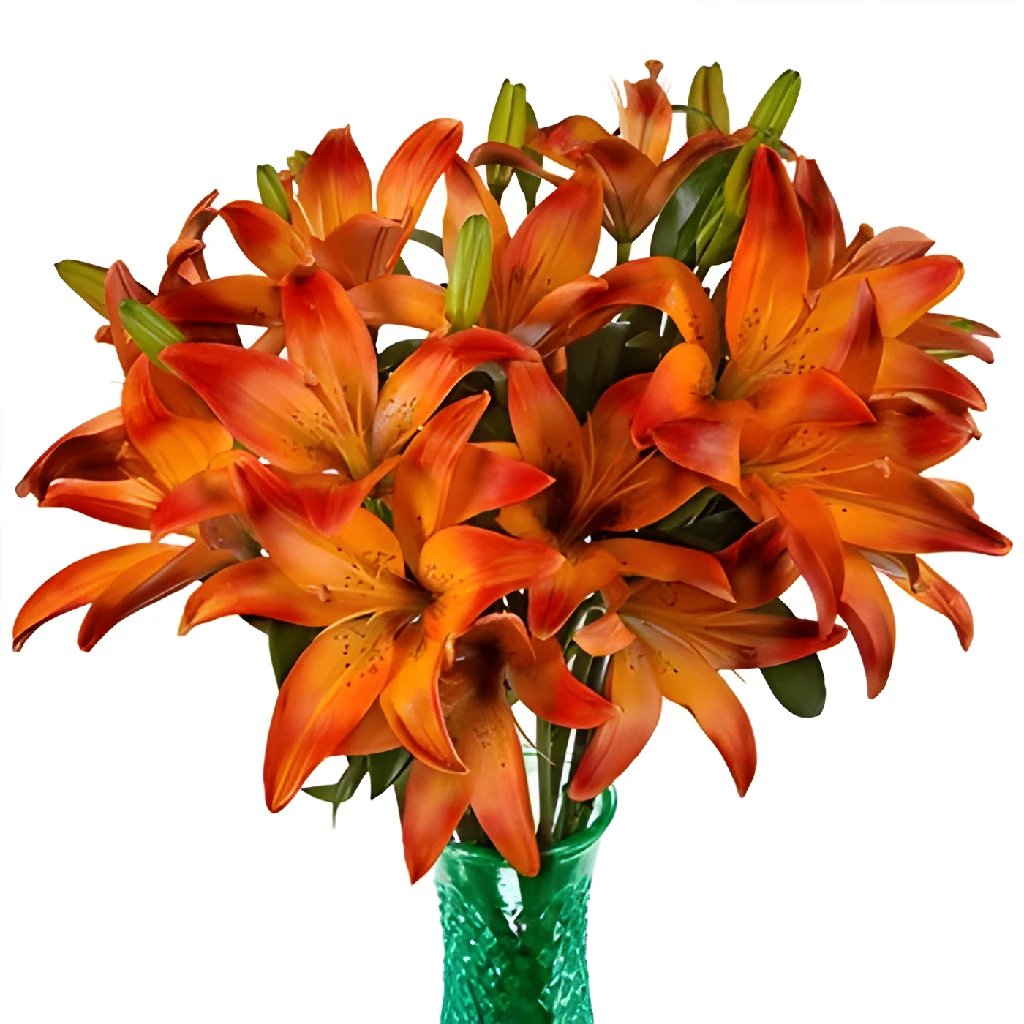 Lilies in bulk in FiftyFlowers