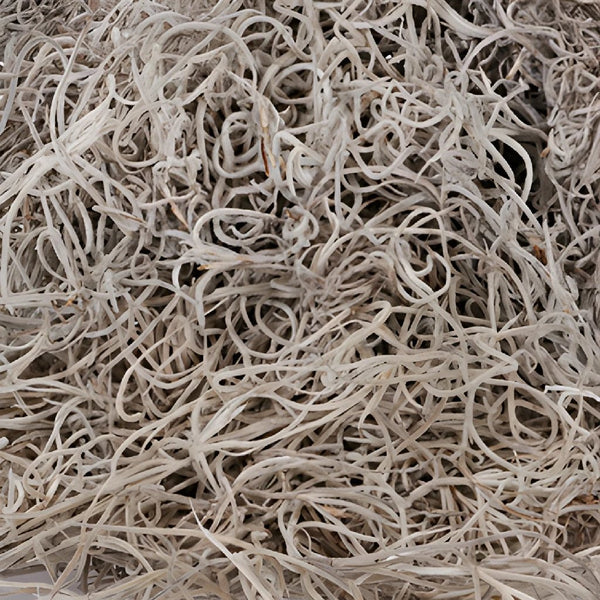 Buy Wholesale Dried Mood Moss in Bulk - FiftyFlowers
