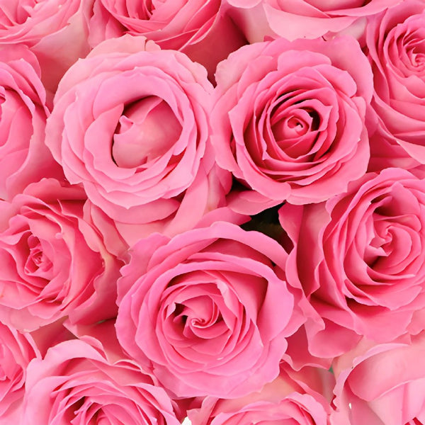 Velvet Sweetheart Box - Pink Spray Roses, Pink Ribbon, Light Grey Box in  Whittier, CA