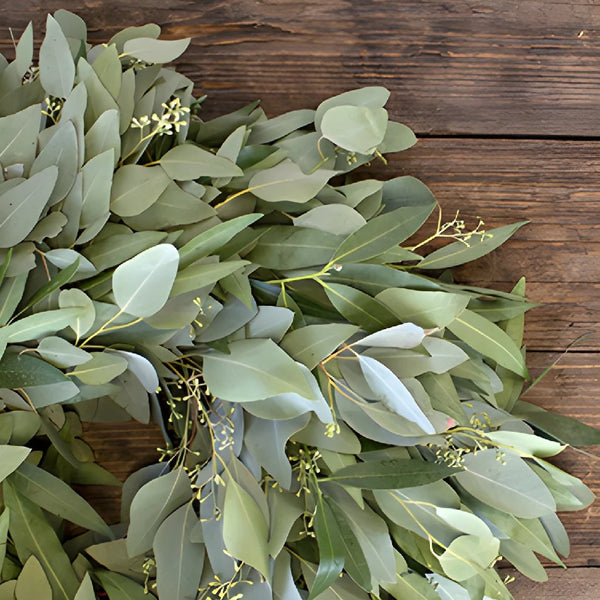 Year Round Farmhouse Wreaths, 24 Inch Eucalyptus and Bayleaf Wreath 