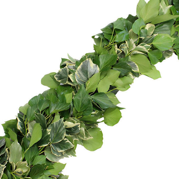 Star Value Online Store  Hassle Fern Garland Green & White 67cm