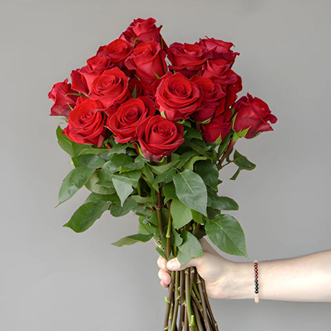 Wholesale Fortune Red Roses Fresh Cut ᐉ bulk Fortune Red Roses Fresh ...