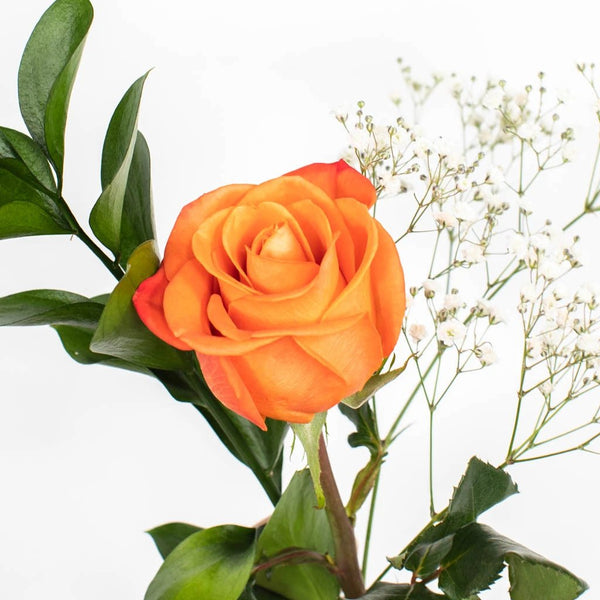 Buy Wholesale Mothers Day Single Rose Bouquet for Gifting in Bulk 