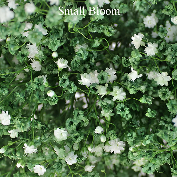 White Bulk Wedding Flowers - White Baby's Breath – DaisyDIYFlowers